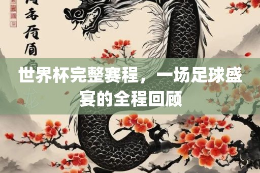 世界杯完整赛程，一场足球盛宴的全程回顾