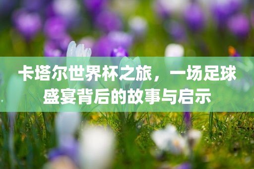 卡塔尔世界杯之旅，一场足球盛宴背后的故事与启示