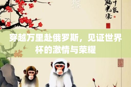 穿越万里赴俄罗斯，见证世界杯的激情与荣耀