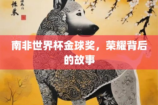 南非世界杯金球奖，荣耀背后的故事