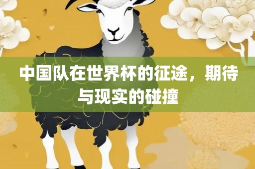 中国队在世界杯的征途，期待与现实的碰撞