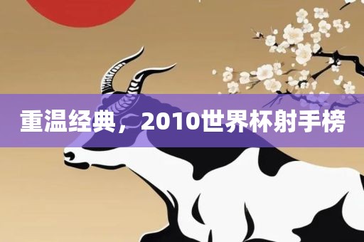 重温经典，2010世界杯射手榜