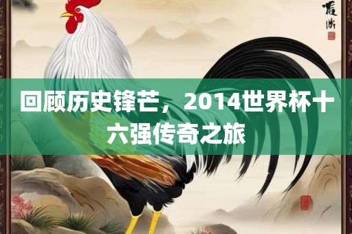 回顾历史锋芒，2014世界杯十六强传奇之旅