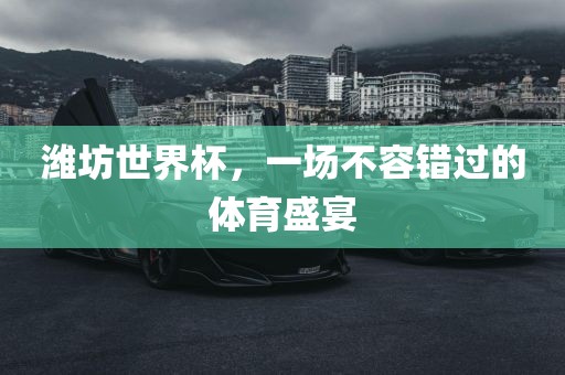 潍坊世界杯，一场不容错过的体育盛宴