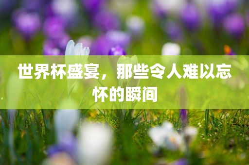 世界杯盛宴，那些令人难以忘怀的瞬间