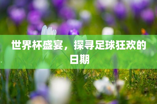 世界杯盛宴，探寻足球狂欢的日期