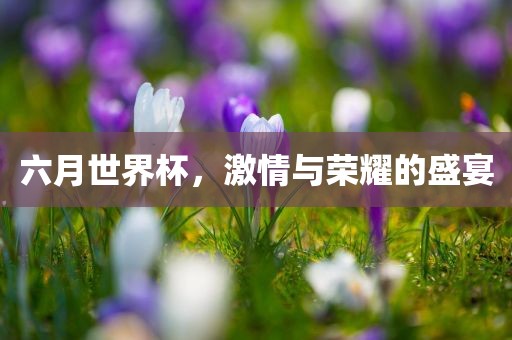 六月世界杯，激情与荣耀的盛宴