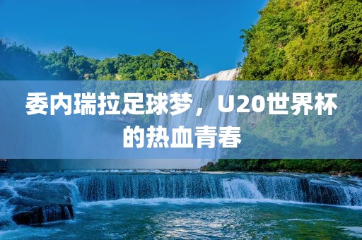 委内瑞拉足球梦，U20世界杯的热血青春