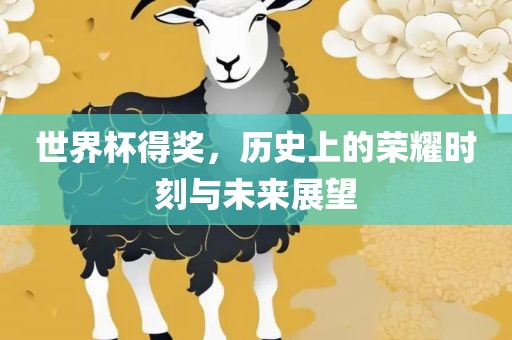 世界杯得奖，历史上的荣耀时刻与未来展望