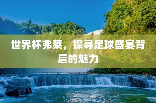 世界杯弗莱，探寻足球盛宴背后的魅力