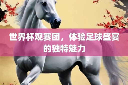 世界杯观赛团，体验足球盛宴的独特魅力