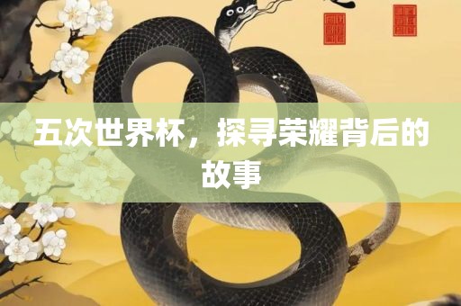 五次世界杯，探寻荣耀背后的故事