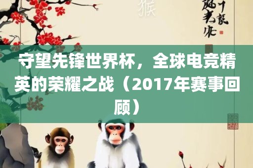 守望先锋世界杯，全球电竞精英的荣耀之战（2017年赛事回顾）