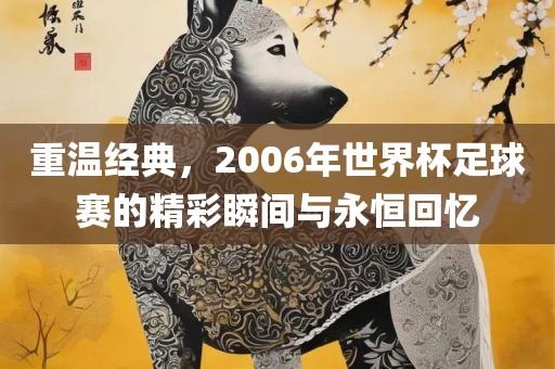 重温经典，2006年世界杯足球赛的精彩瞬间与永恒回忆