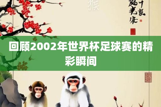 回顾2002年世界杯足球赛的精彩瞬间