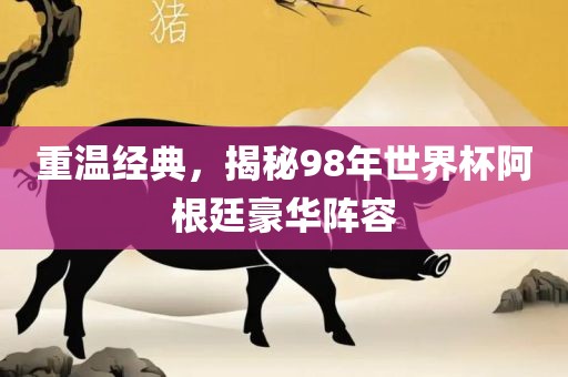 重温经典，揭秘98年世界杯阿根廷豪华阵容