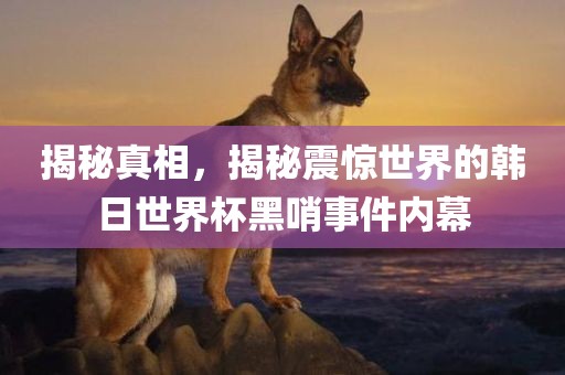揭秘真相，揭秘震惊世界的韩日世界杯黑哨事件内幕