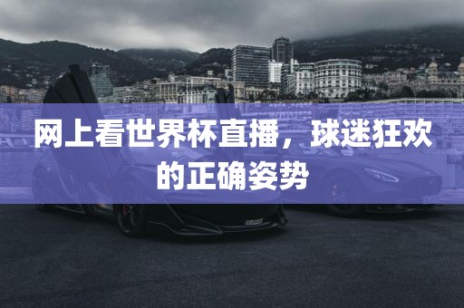 网上看世界杯直播，球迷狂欢的正确姿势