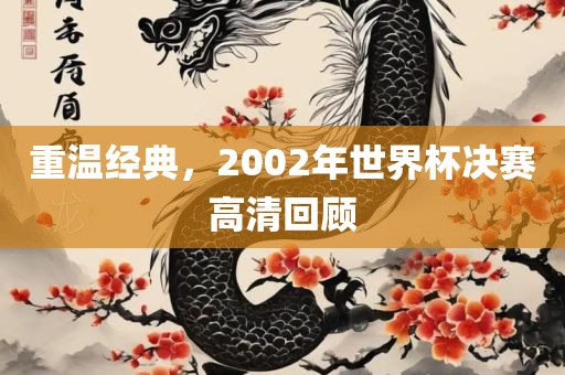 重温经典，2002年世界杯决赛高清回顾