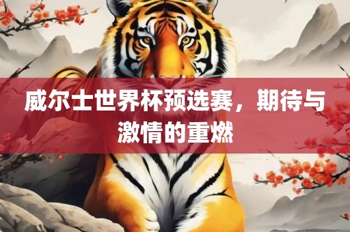 威尔士世界杯预选赛，期待与激情的重燃
