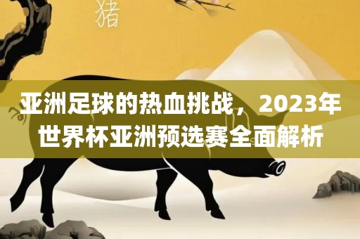 亚洲足球的热血挑战，2023年世界杯亚洲预选赛全面解析
