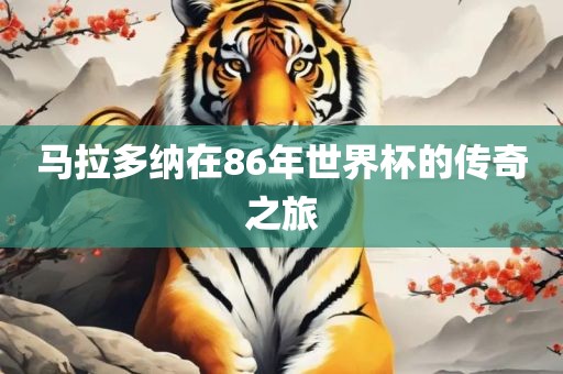 马拉多纳在86年世界杯的传奇之旅