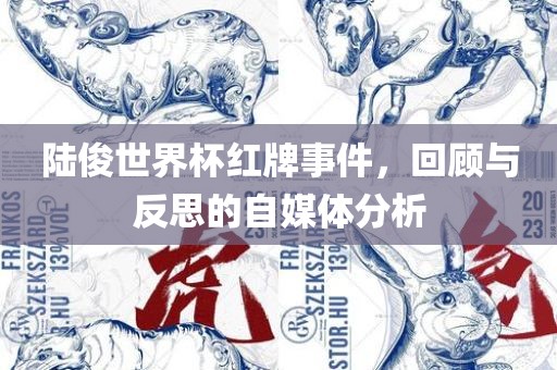 陆俊世界杯红牌事件，回顾与反思的自媒体分析