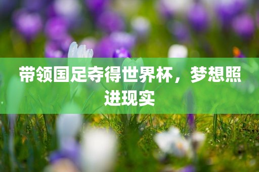 带领国足夺得世界杯，梦想照进现实