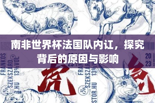 南非世界杯法国队内讧，探究背后的原因与影响