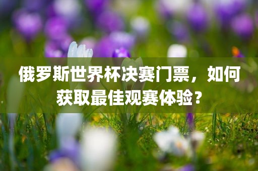 俄罗斯世界杯决赛门票，如何获取最佳观赛体验？