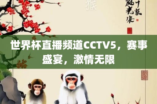 世界杯直播频道CCTV5，赛事盛宴，激情无限