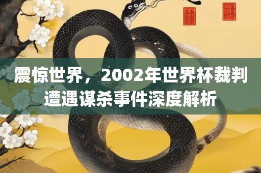 震惊世界，2002年世界杯裁判遭遇谋杀事件深度解析