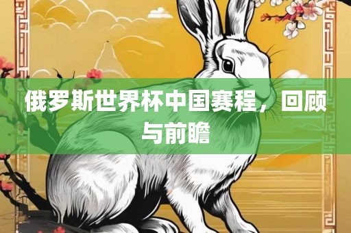 俄罗斯世界杯中国赛程，回顾与前瞻