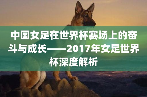 中国女足在世界杯赛场上的奋斗与成长——2017年女足世界杯深度解析
