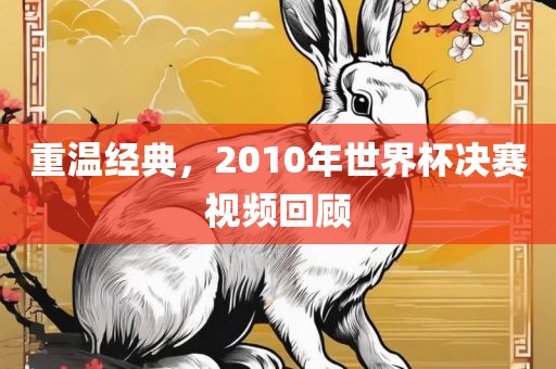 重温经典，2010年世界杯决赛视频回顾