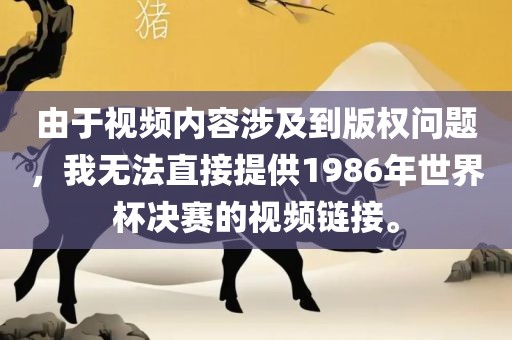 由于视频内容涉及到版权问题，我无法直接提供1986年世界杯决赛的视频链接。
