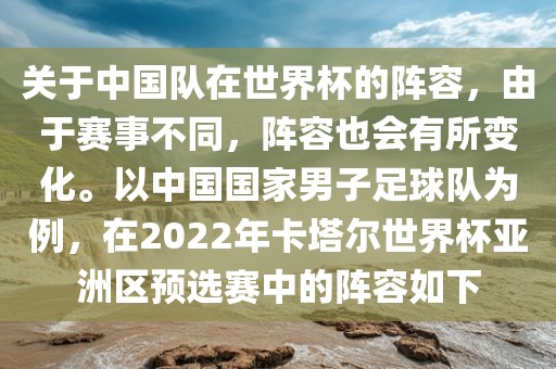关于中国队在世界杯的阵容，由于赛事不同，阵容也会有所变化。以中国国家男子足球队为例，在2022年卡塔尔世界杯亚洲区预选赛中的阵容如下