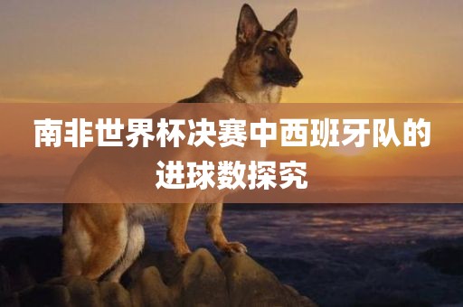南非世界杯决赛中西班牙队的进球数探究