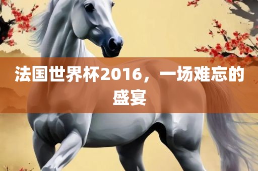 法国世界杯2016，一场难忘的盛宴