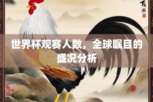 世界杯观赛人数，全球瞩目的盛况分析