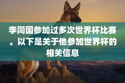 李同国参加过多次世界杯比赛。以下是关于他参加世界杯的相关信息