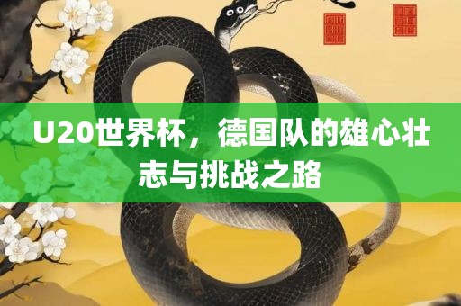 U20世界杯，德国队的雄心壮志与挑战之路
