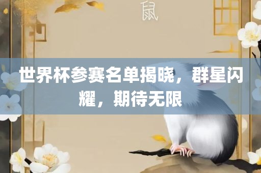 世界杯参赛名单揭晓，群星闪耀，期待无限