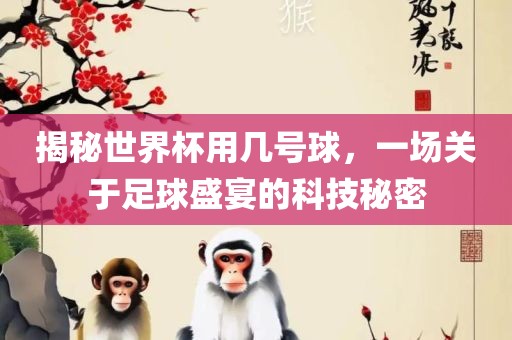 揭秘世界杯用几号球，一场关于足球盛宴的科技秘密