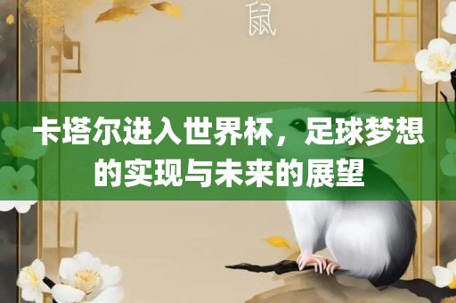 卡塔尔进入世界杯，足球梦想的实现与未来的展望