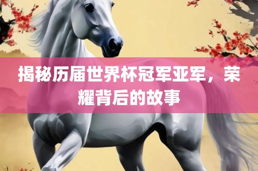 揭秘历届世界杯冠军亚军，荣耀背后的故事