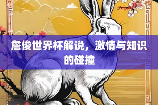詹俊世界杯解说，激情与知识的碰撞