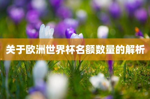 关于欧洲世界杯名额数量的解析
