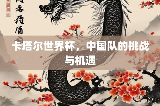 卡塔尔世界杯，中国队的挑战与机遇