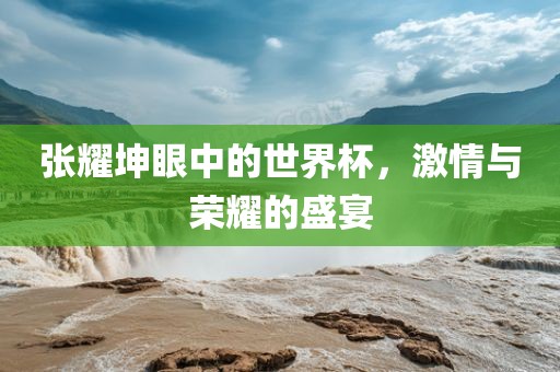 张耀坤眼中的世界杯，激情与荣耀的盛宴